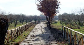 The ancient Via Amerina